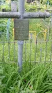 Захоронение ID 195396