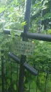 Захоронение ID 195411
