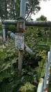 Захоронение ID 195414