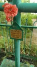 Захоронение ID 195430