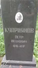 Захоронение ID 195590
