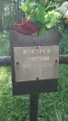 Захоронение ID 195656
