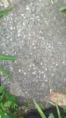 Захоронение ID 195744