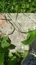 Захоронение ID 195768