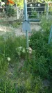 Захоронение ID 195887