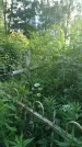Захоронение ID 195901