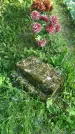 Захоронение ID 195905