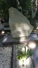 Захоронение ID 196028