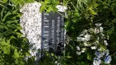 Захоронение ID 196039