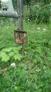 Захоронение ID 196139