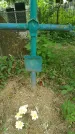 Захоронение ID 196151