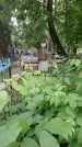 Захоронение ID 196154