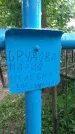 Захоронение ID 196155