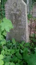 Захоронение ID 196168