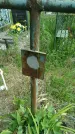 Захоронение ID 196200