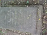Захоронение ID 196241