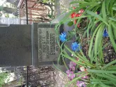Захоронение ID 196244