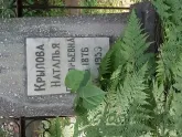 Захоронение ID 196386