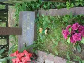Захоронение ID 196389