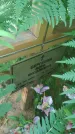Захоронение ID 196391