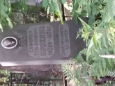 Захоронение ID 196392