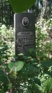 Захоронение ID 196426