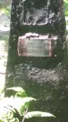 Захоронение ID 196429