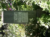 Захоронение ID 196495