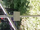 Захоронение ID 196524