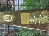 Захоронение ID 196534