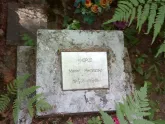 Захоронение ID 196547