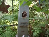 Захоронение ID 196554