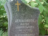Захоронение ID 196558