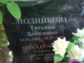 Захоронение ID 196560