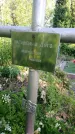 Захоронение ID 196603