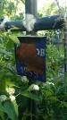 Захоронение ID 196622