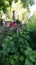 Захоронение ID 196713