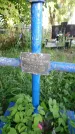 Захоронение ID 196718