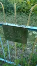 Захоронение ID 196730
