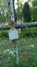 Захоронение ID 196732
