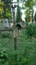 Захоронение ID 196734