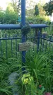 Захоронение ID 196762