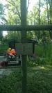 Захоронение ID 196857