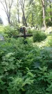 Захоронение ID 196882