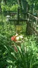 Захоронение ID 196913