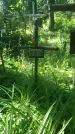Захоронение ID 196915