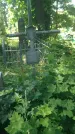 Захоронение ID 196974