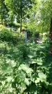 Захоронение ID 196982