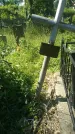 Захоронение ID 196990