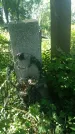 Захоронение ID 197001